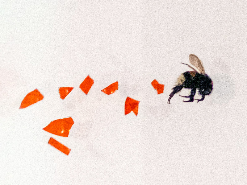 Salle de réunion du cabinet